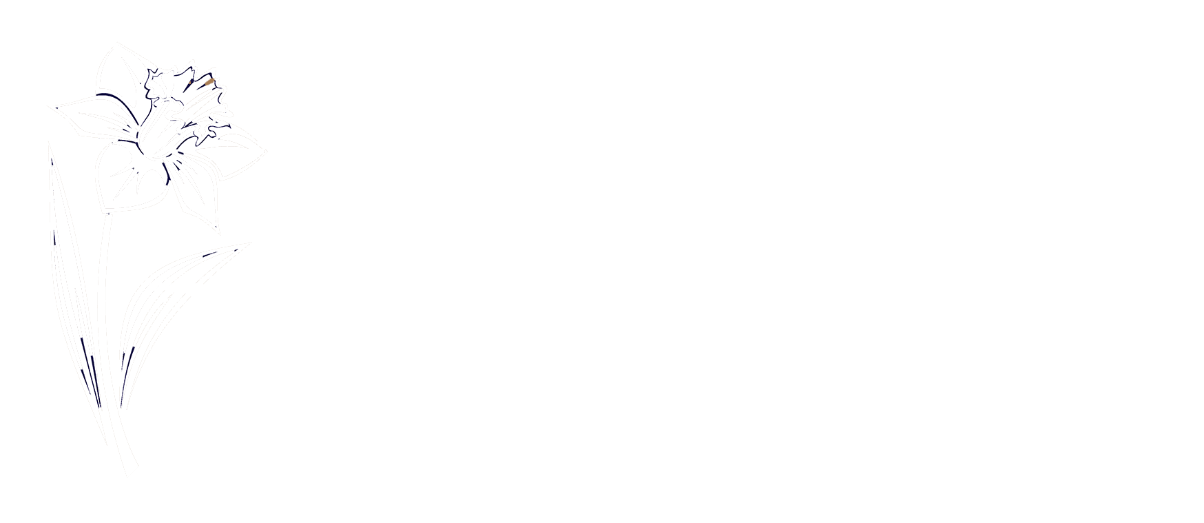 The Rhiwderin Inn